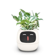 Load image into Gallery viewer, Ivy Smart Planter
