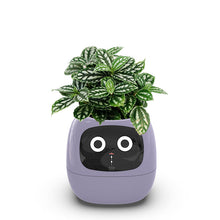 Load image into Gallery viewer, Ivy Smart Planter
